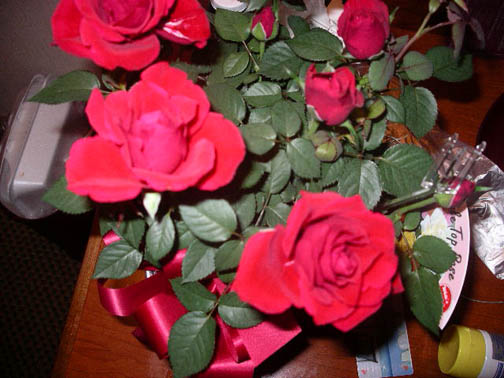 Red roses for Judih!