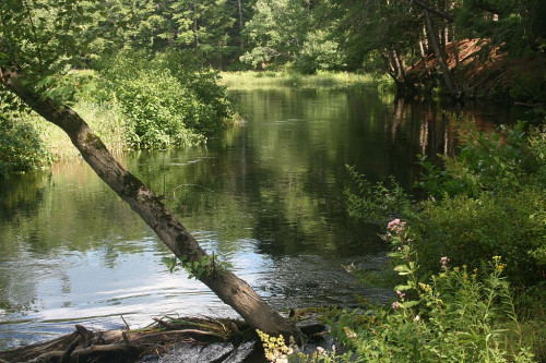 aIMG_20260801_27538.jpg