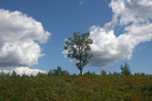 dIMG_20260904_27737.jpg