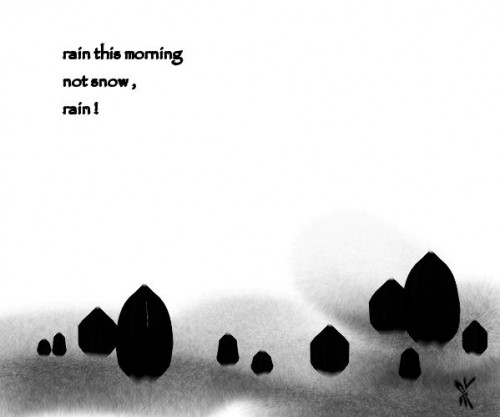 rain this morning.jpg