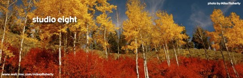 autumn_foliage_mike_flaherty.jpg