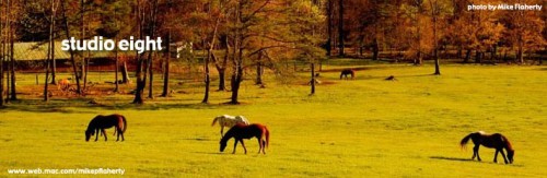 autumn_horses_mike_flaherty.jpg
