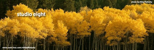 yellow_trees_mike_flaherty.jpg