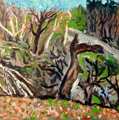 Desolation (High Park).JPG
