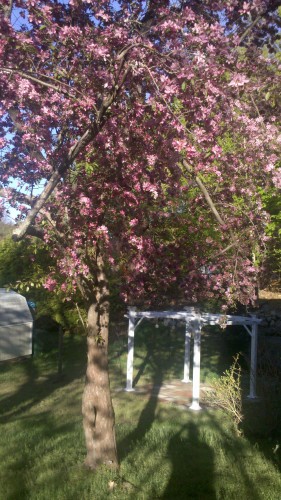 2011-05-06_07-12-47_541a.jpg