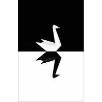 the black swan.jpg