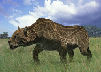 dinofelis_hzoom.jpg