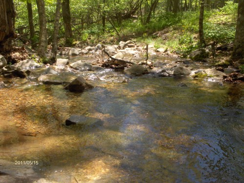 Big Meadows 156.jpg