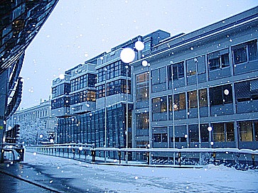 snow.jpg