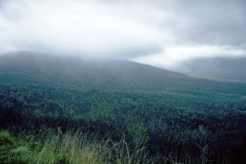Sh-07.jpg