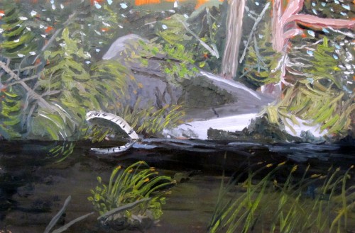 Northern Beaver Pond.JPG