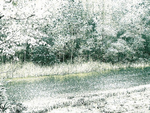 Rainy Day on the Coast.JPG