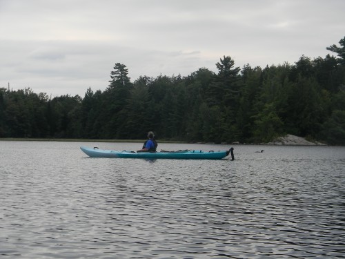 Found it in the Woods 026.JPG