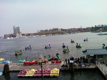 Balt5.jpg