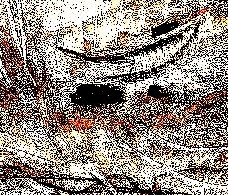 fools gold001.jpg