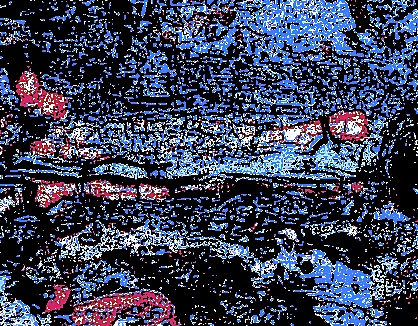 detail3k.jpg