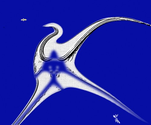 Morning Star Bird.jpg