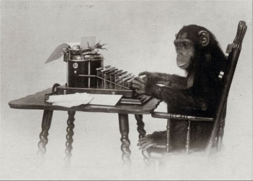 monkey.jpg