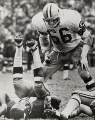 ray_nitschke_display_image.jpg