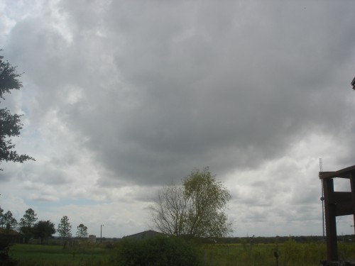 DSC01299.JPG