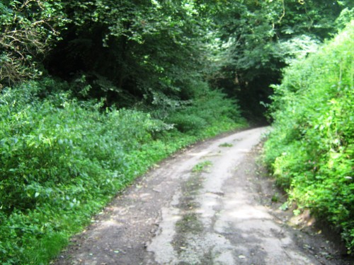 LANE BEHIND OUR OLD COTTAGE.JPG