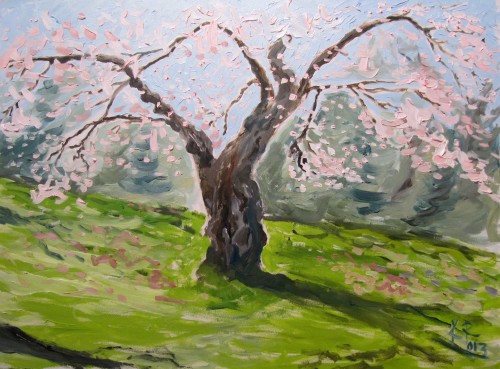 Pink In The Park.JPG
