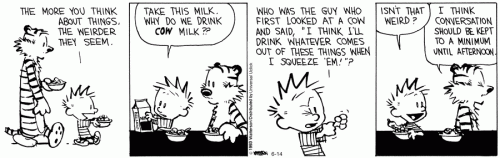conversation.gif