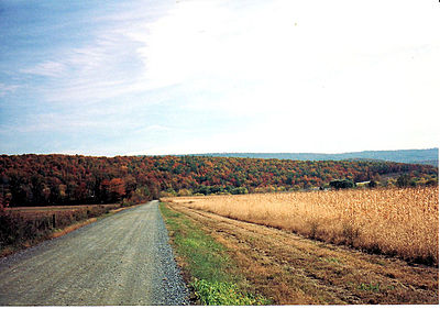 macadam.jpg