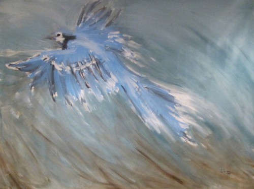 Ornithology 1.JPG
