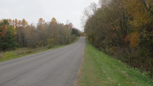Found it in the Woods 119.jpg