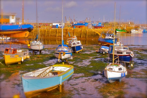 brixham low tide.jpg