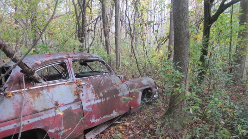 Found it in the Woods 067.jpg