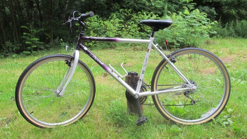 Found it in the Woods 105.jpg