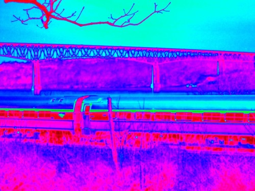 100_5624.JPG