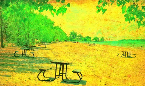 three_picnic_tables.jpg