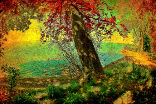 tree_by_the_lakeside_x.jpg