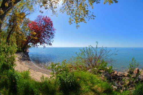 pickering_beach.jpg