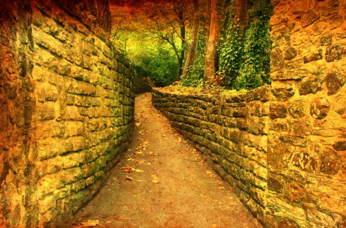 christchurch_path_x.jpg