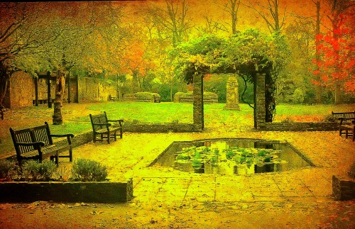 garden.jpg