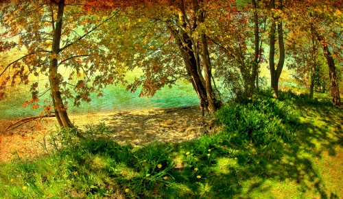 late_morning_quietude.jpg