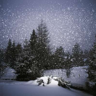 beautiful-snow-landscapes-photography-by-marc-wilson.jpeg