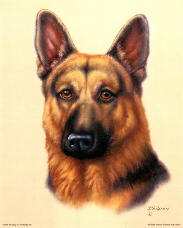 jdg0221~german-shepherd-posters.jpg