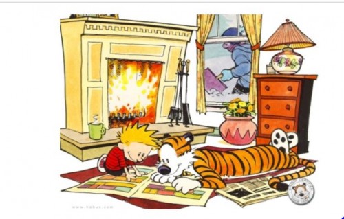 calvin and hobbes funny pages.JPG