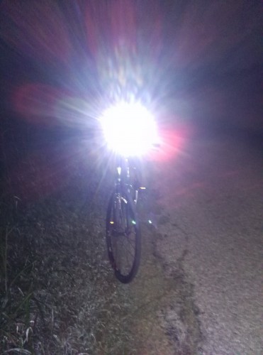 night light.jpg