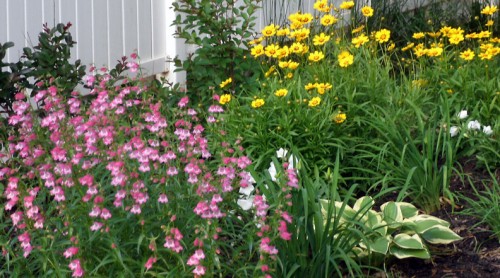 perennial_garden2.jpg