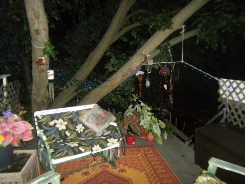 100_7084.JPG