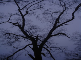 DSC01971.JPG