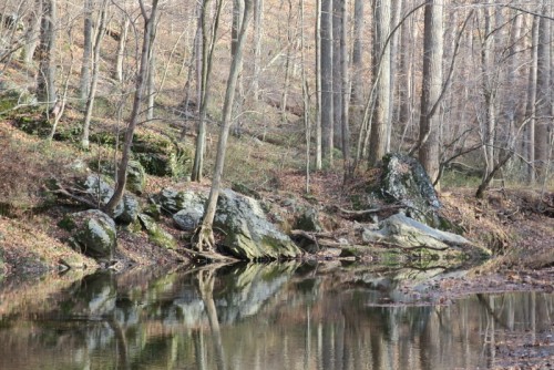 IMG_3289.JPG (196.1 KiB) Viewed 1052 times little gunpowder river