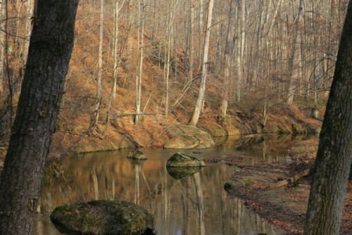 IMG_3347.JPG (174.62 KiB) Viewed 888 times IMG_3347.JPG