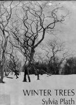 winter trees.jpg
